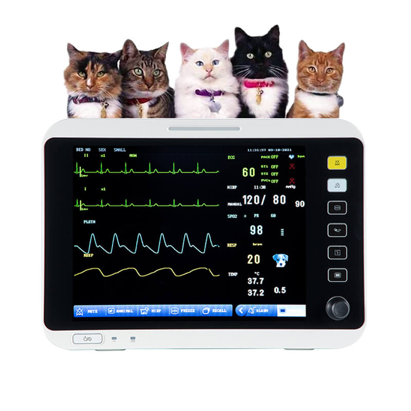 Veterinary Monitor